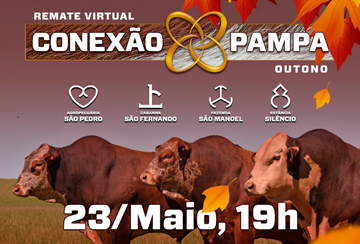 REMATE VIRTUAL CONEXÃO PAMPA - EDIÇÃO OUTONO TOUROS