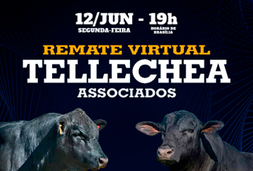 REMATE TELLECHEA ASSOCIADOS