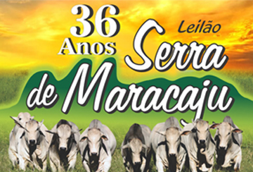 LEILÃO SERRA DE MARACAJU 36 ANOS