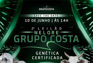 2º LEILÃO NELORE GRUPO COSTA