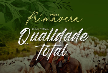 LEILÃO VIRTUAL QUALIDADE TOTAL