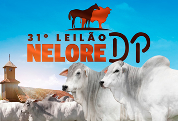 31º LEILÃO NELORE DP