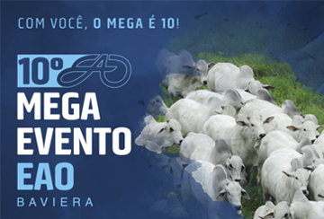 10º MEGA EVENTO EAO BAVIERA - 3ª ETAPA