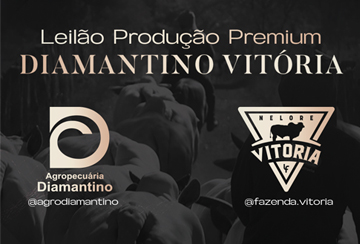 LEILÃO PRODUÇÃO PREMIUM DIAMANTINO VITÓRIA