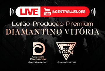 LIVE DE APRESENTAÇÃO DOS ANIMAIS - LEILÃO PRODUÇÃO PREMIUM DIAMANTINO VITÓRIA