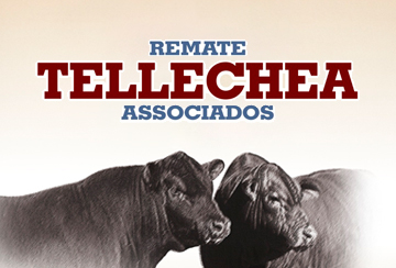 REMATE TELLECHEA ASSOCIADOS