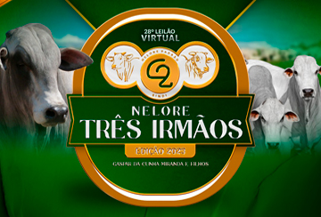 28º LEILÃO VIRTUAL NELORE TRÊS IRMÃOS