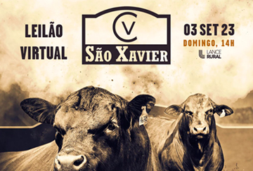 LEILÃO VIRTUAL SÃO XAVIER