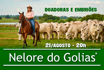 LEILÃO NELORE DO GOLIAS