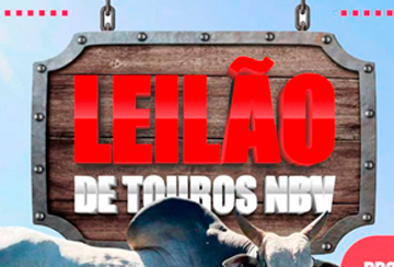 LEILÃO DE TOUROS NELORE BOA VISTA