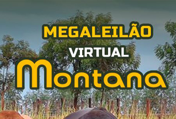 MEGA LEILÃO VIRTUAL MONTANA