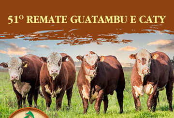 51º REMATE GUATAMBU E CATY