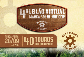 4º LEILÃO VIRTUAL MARCA SOL NELORE CEIP