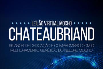 LEILÃO VIRTUAL MOCHO CHATEAUBRIAND