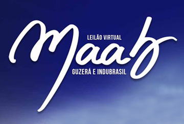 LEILÃO VIRTUAL MAAB GUZERÁ E INDUBRASIL