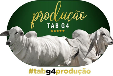 LEILÃO VIRTUAL PRODUÇÃO TAB G4