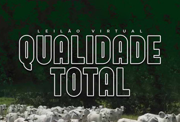 LEILÃO VIRTUAL QUALIDADE TOTAL