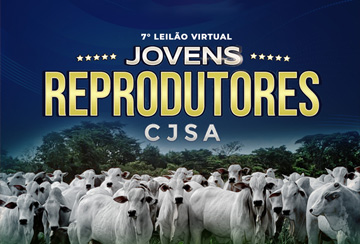 7º LEILÃO VIRTUAL JOVENS REPRODUTORES CJSA