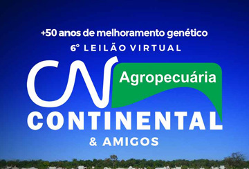 6º LEILÃO VIRTUAL AGROPECUÁRIA CONTINENTAL & AMIGOS