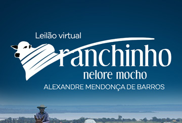 LEILÃO VIRTUAL RANCHINHO NELORE MOCHO