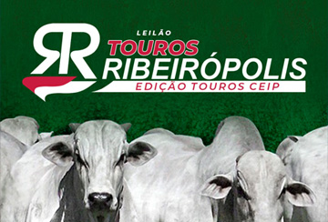 LEILÃO TOUROS RIBEIRÓPOLIS - EDIÇÃO TOUROS CEIP