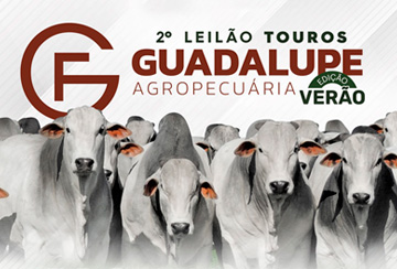 2Âº LEILÃƒO TOUROS GUADALUPE AGROPECUÃ�RIA - EDIÃ‡ÃƒO VERÃƒO