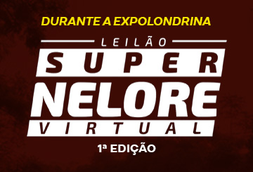 LEILÃO SUPER NELORE - 1º EDIÇÃO MATRIZES