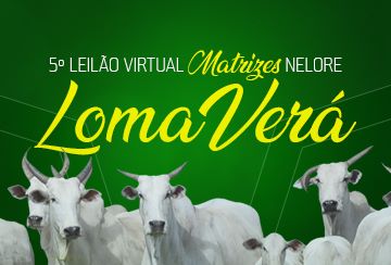 5º LEILÃO VIRTUAL MATRIZES NELORE LOMA VERÁ