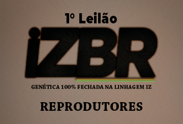 1º LEILÃO IZBR - REPRODUTORES