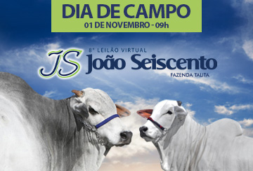 DIA DE CAMPO -  8º LEILÃO VIRTUAL JOÃO SEISCENTO