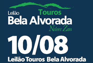 LEILÃO TOUROS BELA ALVORADA NELORE ZAN