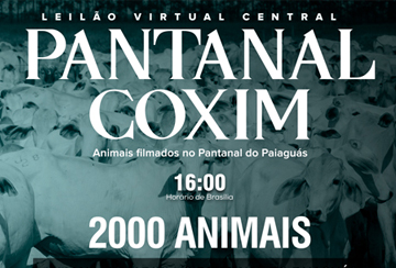 LEILÃO VIRTUAL CENTRAL PANTANAL COXIM