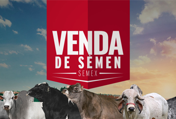 VENDA DE SÊMEN SEMEX