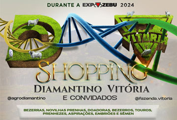 SHOPPING DIAMANTINO VITÓRIA E CONVIDADOS (27 DE ABRIL A 04 DE MAIO)