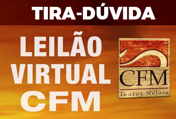TIRA DÚVIDAS - LEILÃO VIRTUAL CFM