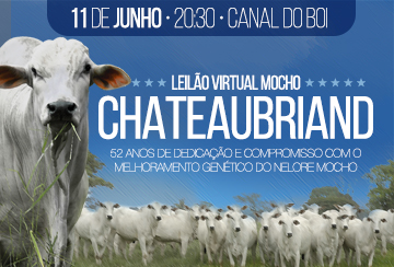 LEILÃO VIRTUAL MOCHO CHATEAUBRIAND