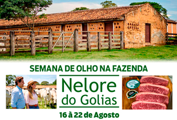 SEMANA DE OLHO NA FAZENDA NELORE DO GOLIAS