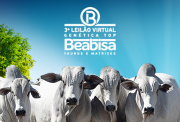 3º LEILÃO VIRTUAL GENÉTICA TOP BEABISA