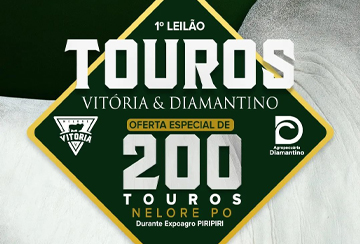 1º LEILÃO DE TOUROS VITÓRIA & DIAMANTINO