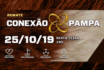 REMATE CONEXÃO PAMPA